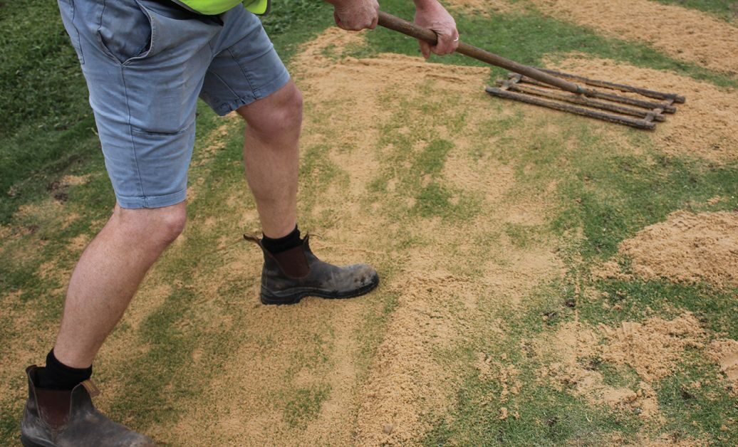 Topdressing trávnika diatomitom