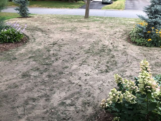 Oprava trávnika a dorovnanie diatomitom
